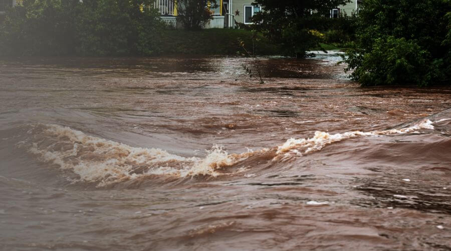 Why choose water damage restoration service for basement flood restoration services in Oakville